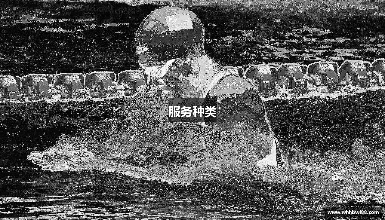 服务种类