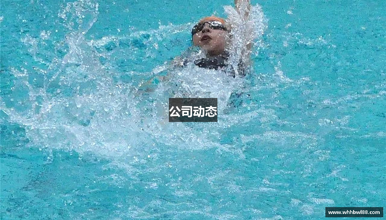 公司动态