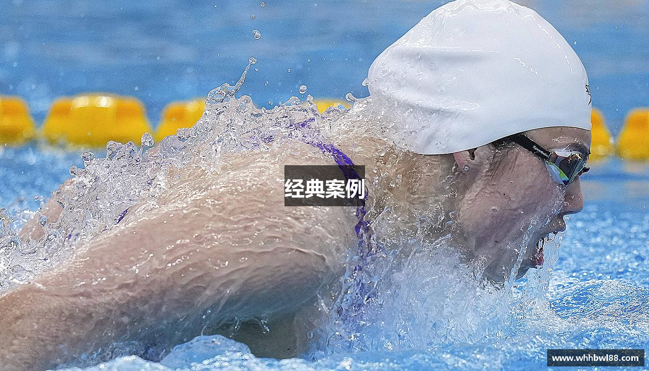 经典案例